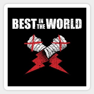 Cm Punk - Best in The World Magnet